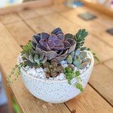 Handmade Klapp Ceramics Pot & Succulent Planter
