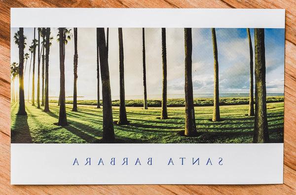 East Beach Palms Postcard Postcards - Lumino Press, The Santa Barbara Company